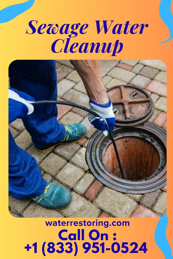 Sewage Water Cleanup in Granger, MO